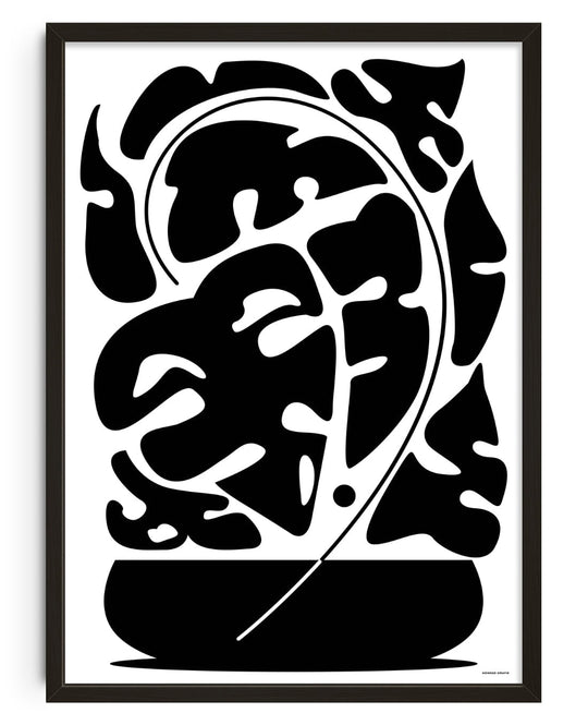 Monstera