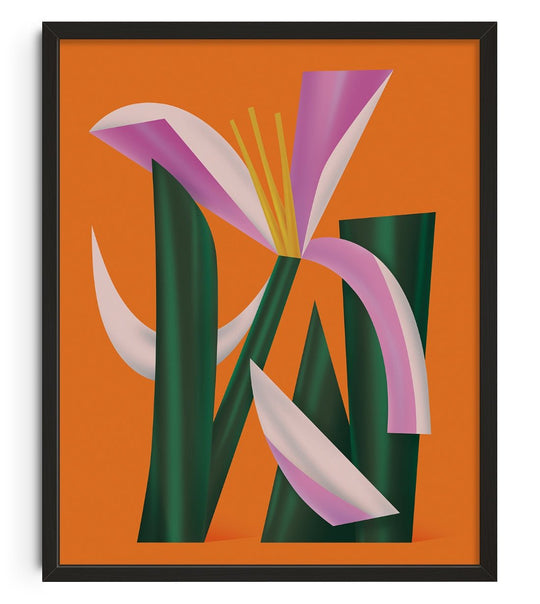 Lilium