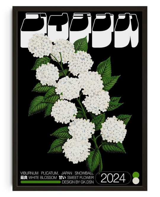 Viburnum plicatum