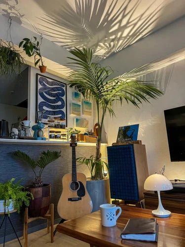 7 Bohemian Decor Essentials for a Laid-Back Vibe – DROOL