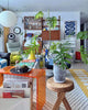 How to Decorate Your Apartment for Entertaining Guests