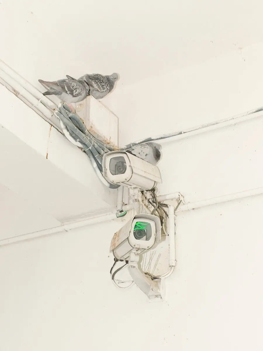 Watching you by Tom Modol - DROOL