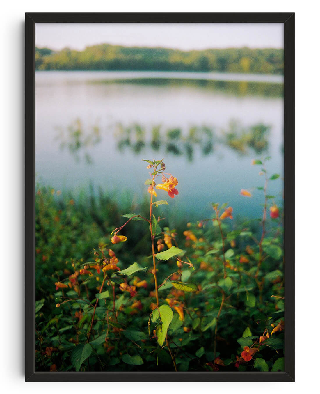 Lake Siloam by Kenzie Meeker contemporary wall art print from DROOL