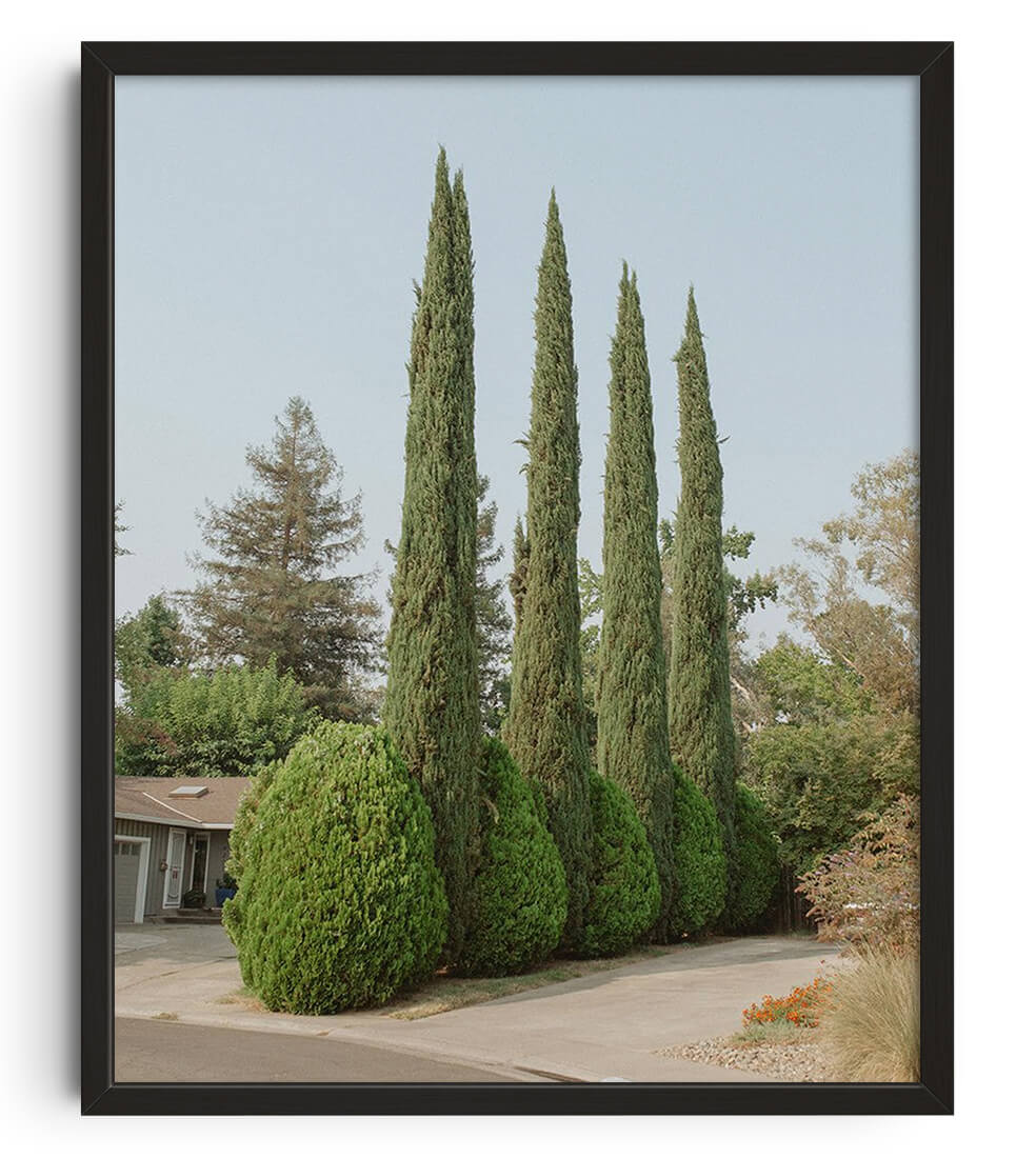 Down the Street by Enoch Ku contemporary wall art print from DROOL