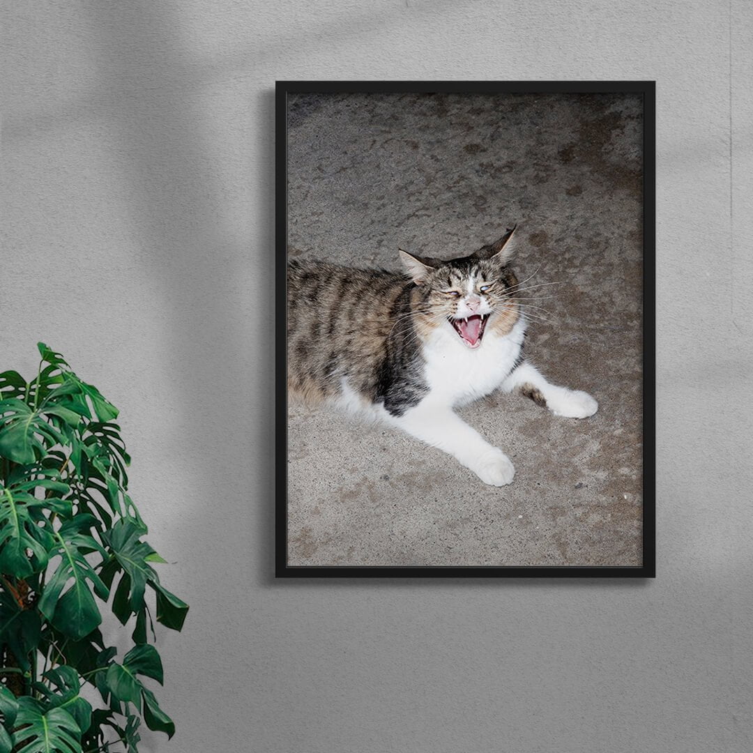 Cat Face contemporary wall art print by Eve Lee - sold by DROOL