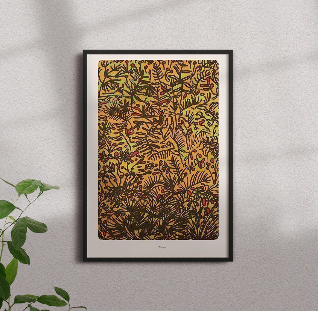 Plantago contemporary wall art print by Rikki Hewitt - sold by DROOL