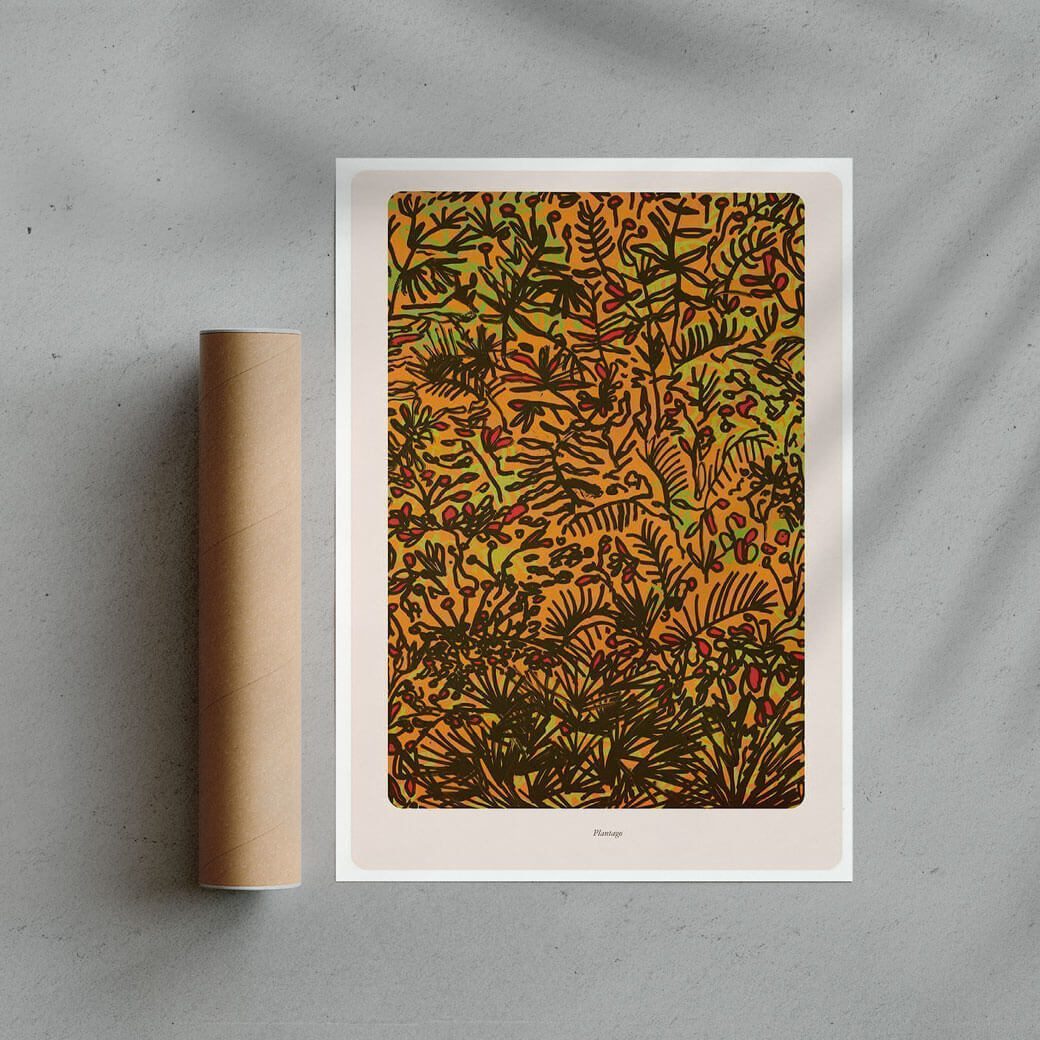 Plantago contemporary wall art print by Rikki Hewitt - sold by DROOL