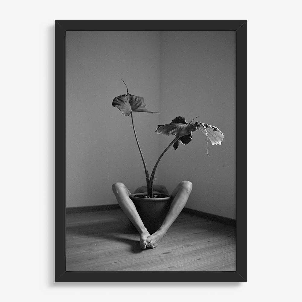 Symbiosis No. 2 contemporary wall art print by Dafni Planta - sold by DROOL