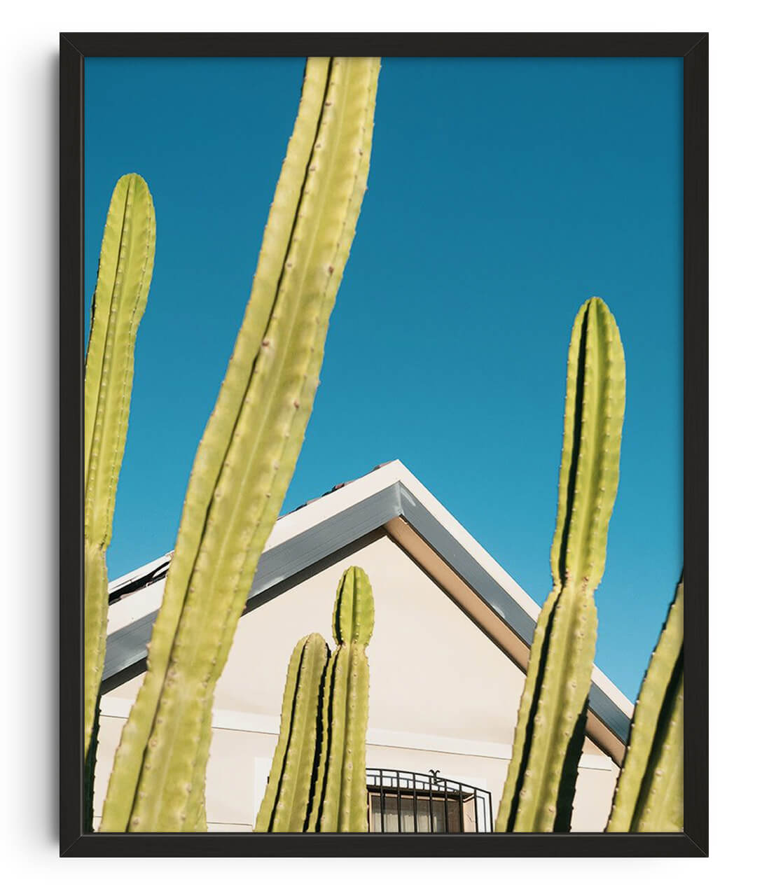 Among the cactus contemporary wall art print by Eve Lee - sold by DROOL