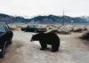 Close Call contemporary wall art print by Max Viper - sold by DROOL