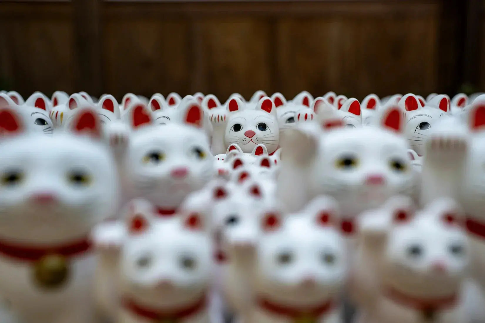 Lucky Cat Crowd contemporary wall art print by Henry Han - sold by DROOL
