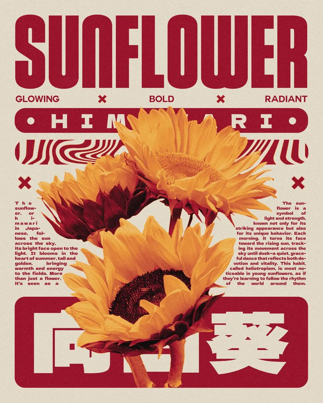 Sunflower poster design