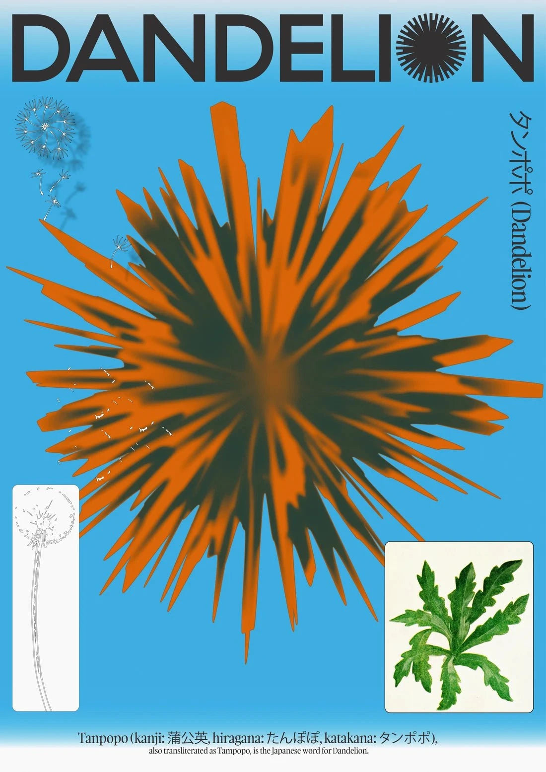 Dandelion contemporary wall art print by Studio Trikken - sold by DROOL