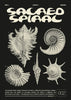 Sacred Spiral contemporary wall art print by Coveposter - sold by DROOL