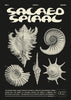 Sacred Spiral contemporary wall art print by Coveposter - sold by DROOL