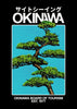 Okinawa 1 (Black) contemporary wall art print by Othman Zougam - sold by DROOL