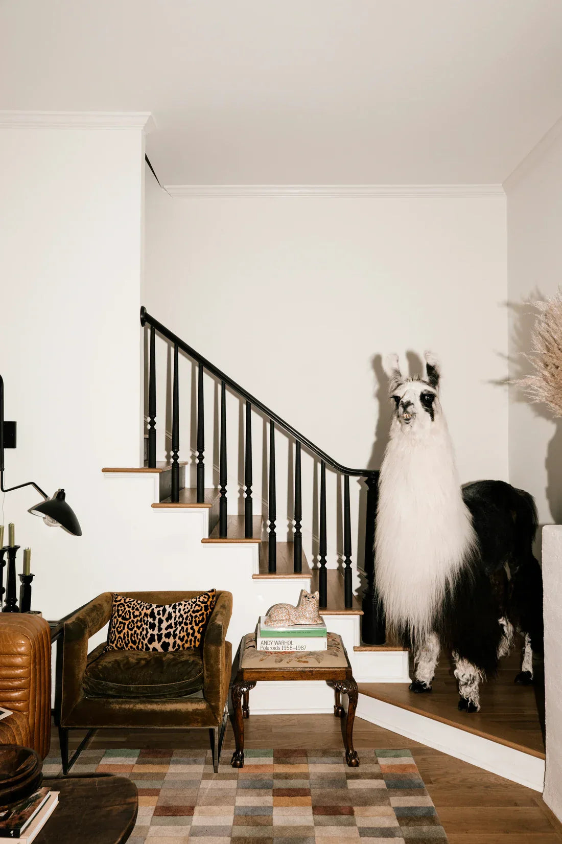 A Welcome Llama contemporary wall art print by Mary Caroline Russell - sold by DROOL