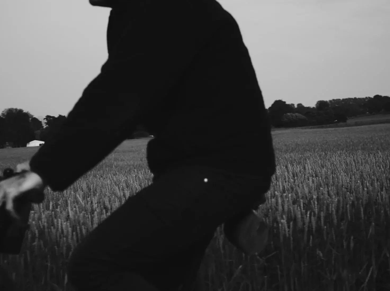 Wheat Rider contemporary wall art print by Johan Knobe - sold by DROOL