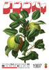 Two Apples contemporary wall art print by George Kempster - sold by DROOL