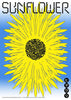 Sunflower contemporary wall art print by John Schulisch - sold by DROOL