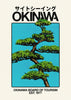Okinawa 1 contemporary wall art print by Othman Zougam - sold by DROOL
