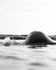 Surface Ritual contemporary wall art print by Gregory Tauziac - sold by DROOL