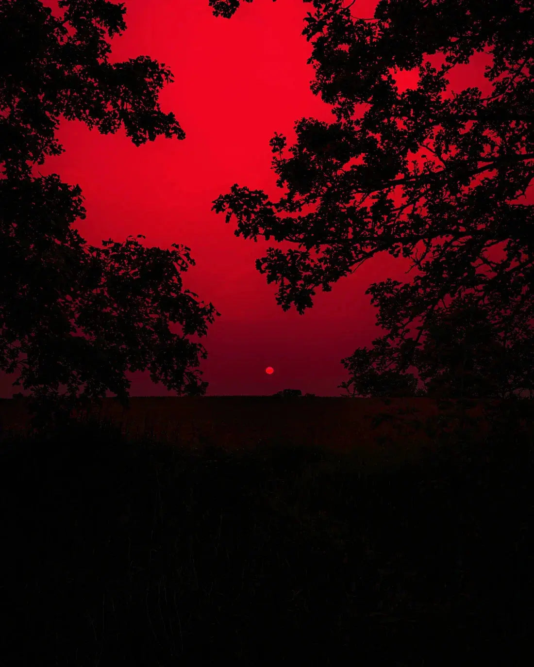Red Sunset contemporary wall art print by Andrew Tesdahl - sold by DROOL