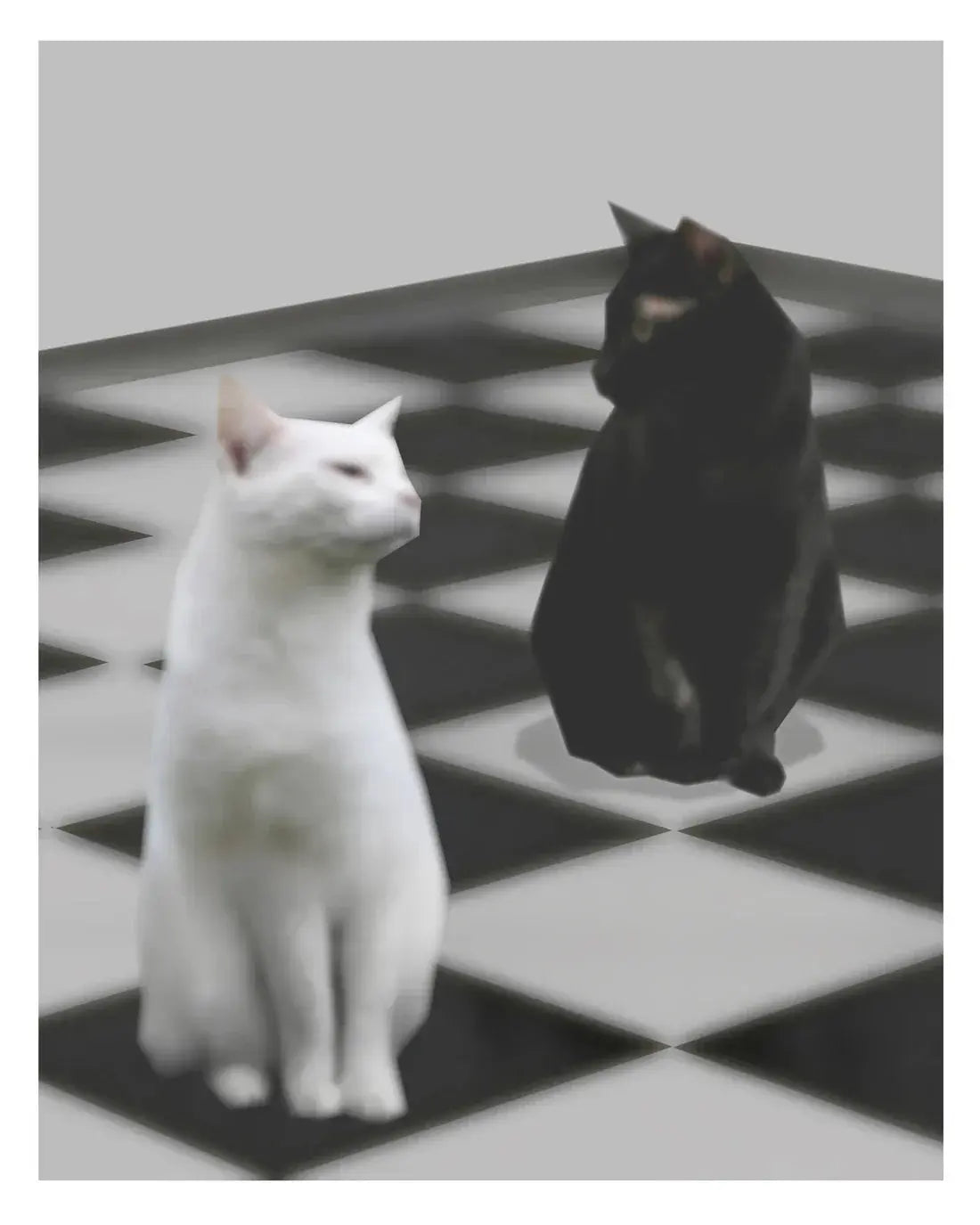 Chesshire contemporary wall art print by Jimmy Tran - sold by DROOL