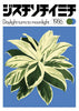Dracaena contemporary wall art print by George Kempster - sold by DROOL