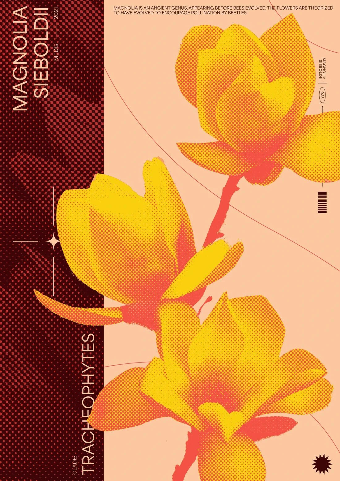 Magnolia contemporary wall art print by MEDG - sold by DROOL
