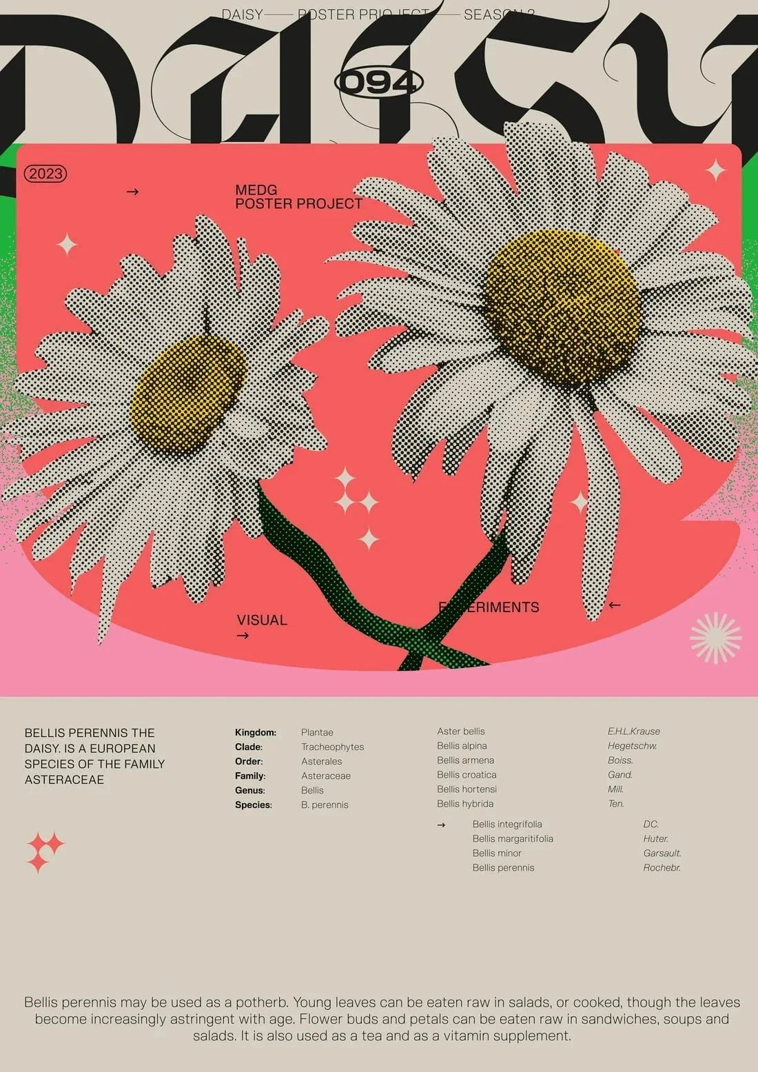 Daisy contemporary wall art print by MEDG - sold by DROOL