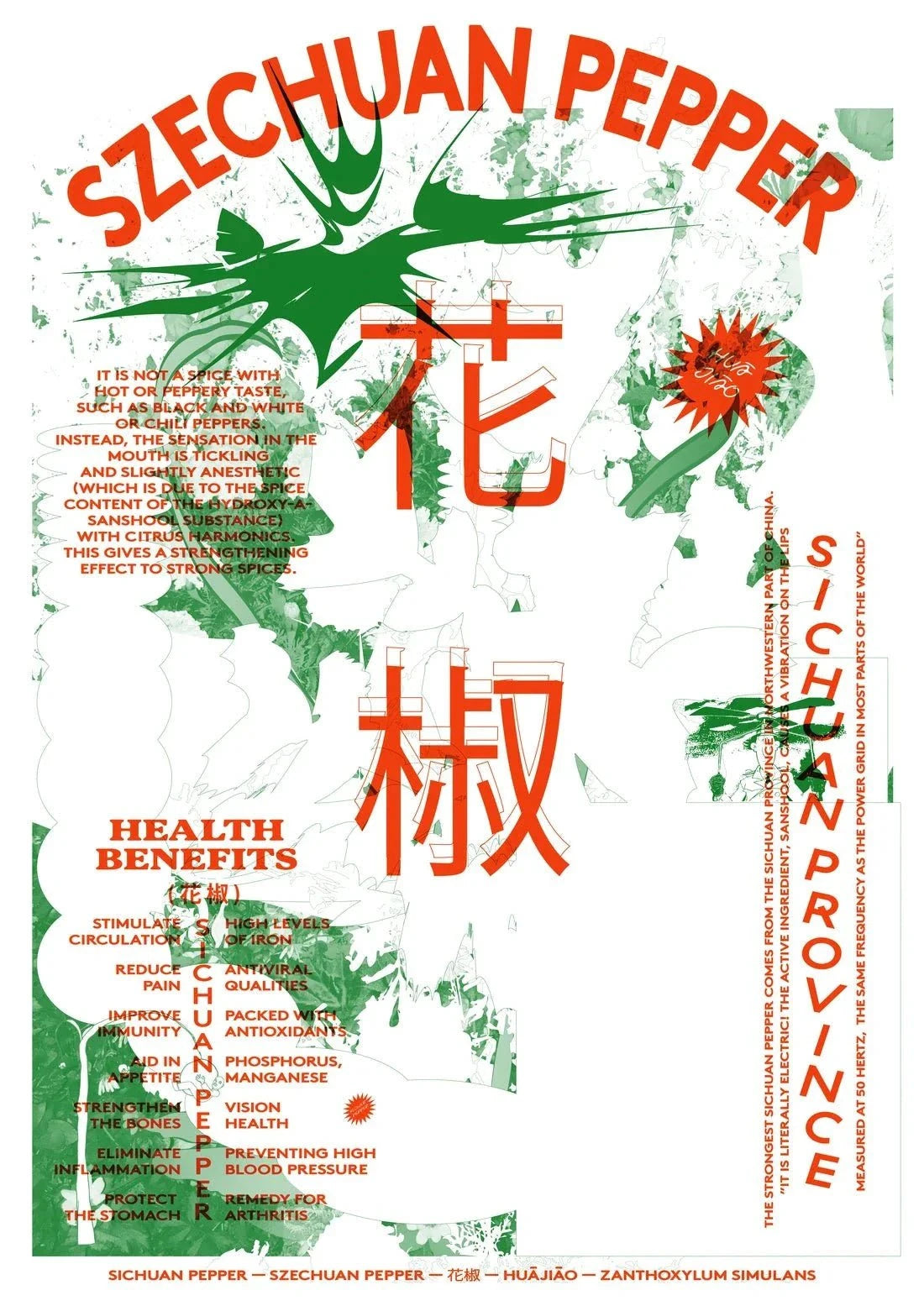 Szechuan Pepper contemporary wall art print by Studio Trikken - sold by DROOL