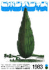 Juniper Tree contemporary wall art print by George Kempster - sold by DROOL