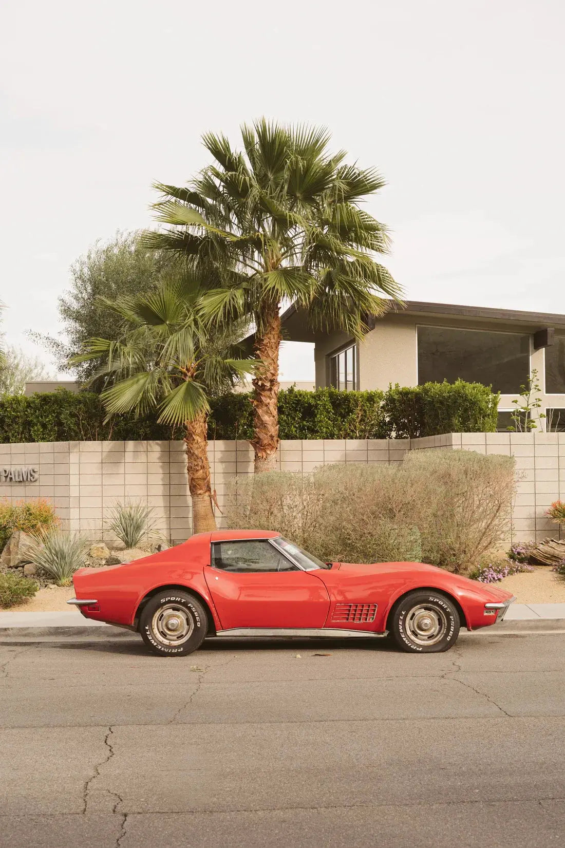 Corvette contemporary wall art print by Steven Clouse - sold by DROOL