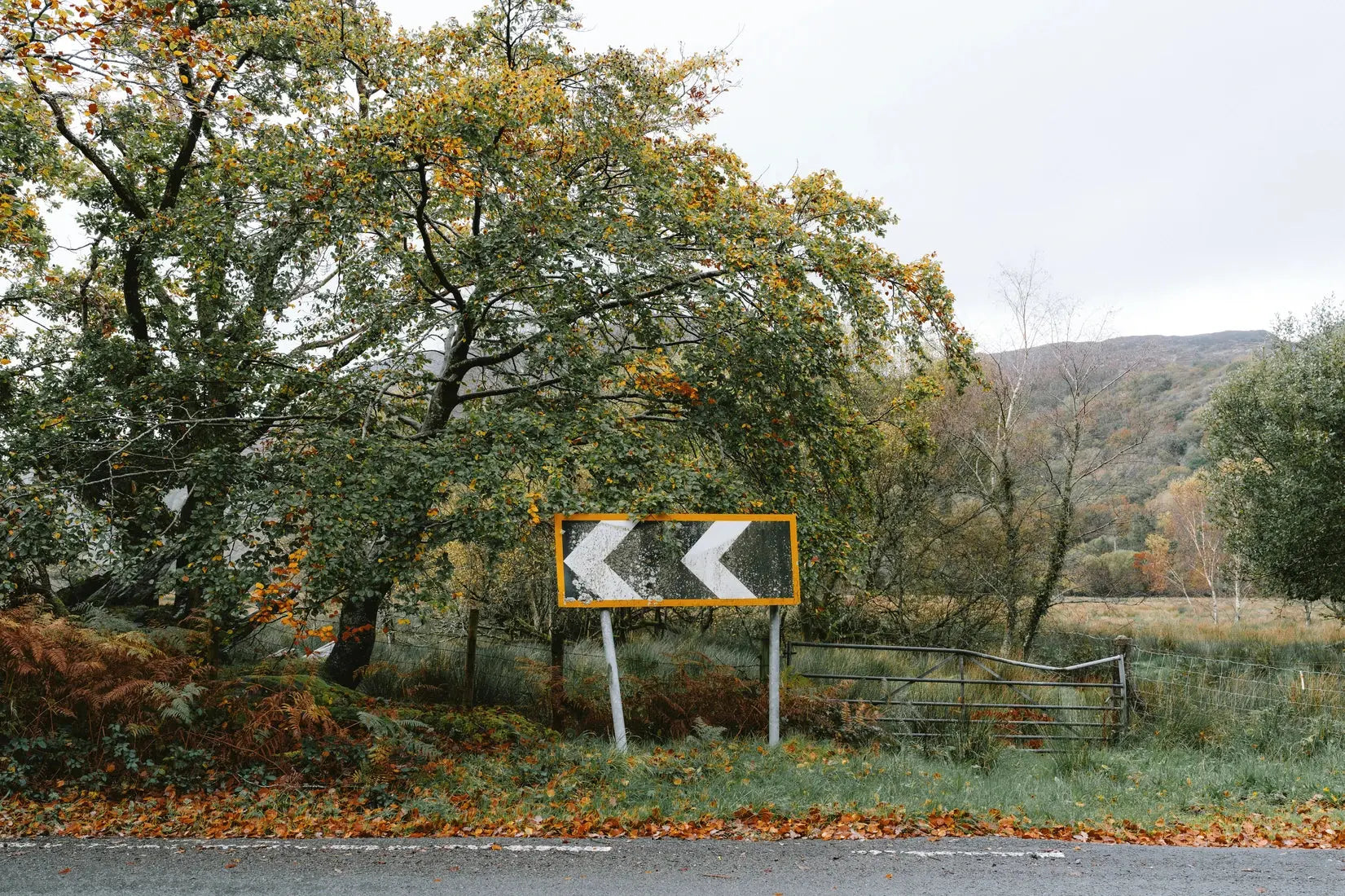 Turn Left contemporary wall art print by James Popsys - sold by DROOL
