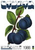Blue Plum contemporary wall art print by George Kempster - sold by DROOL