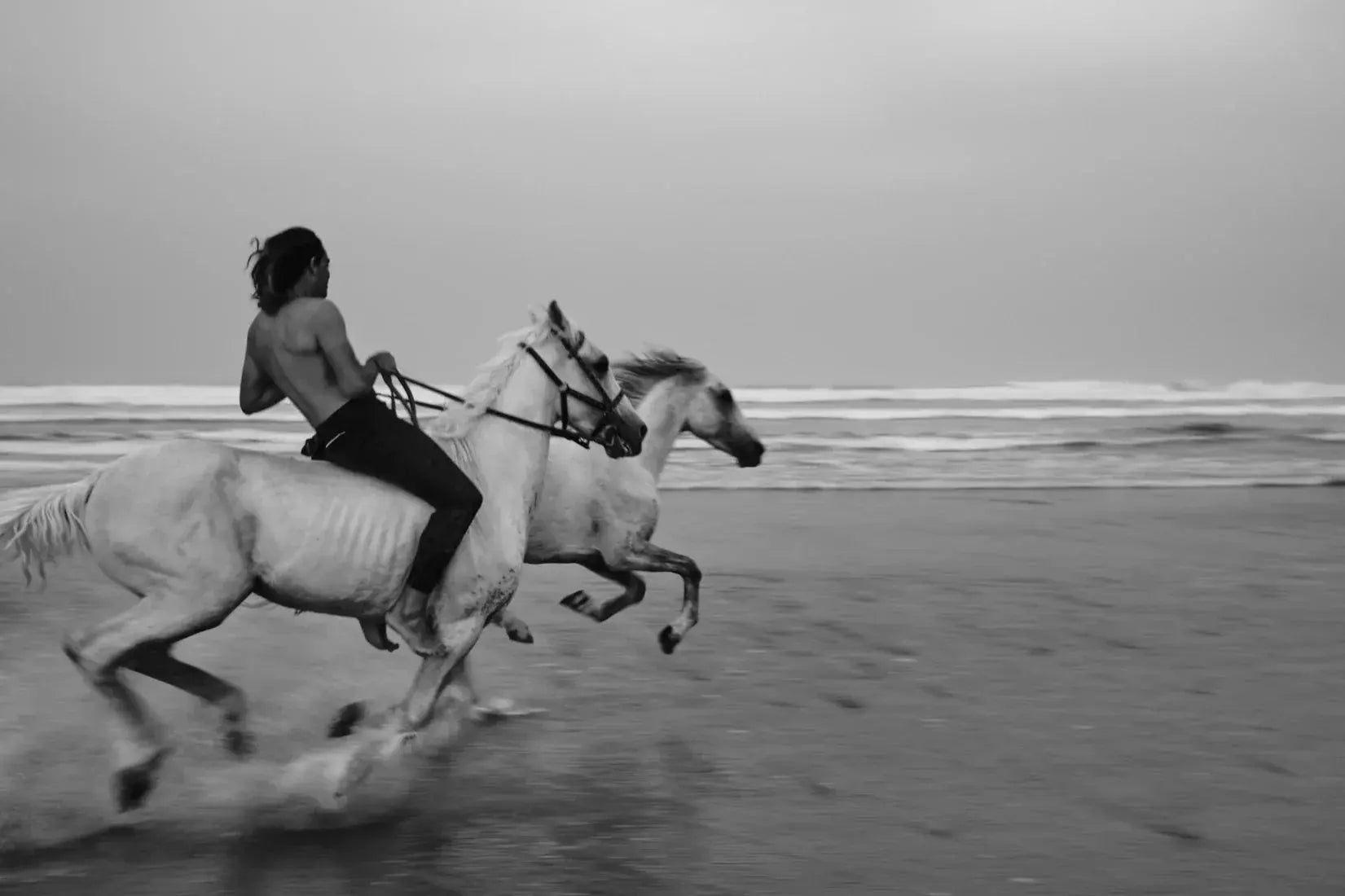 Beach Gallop contemporary wall art print by Korbinian Grad - sold by DROOL