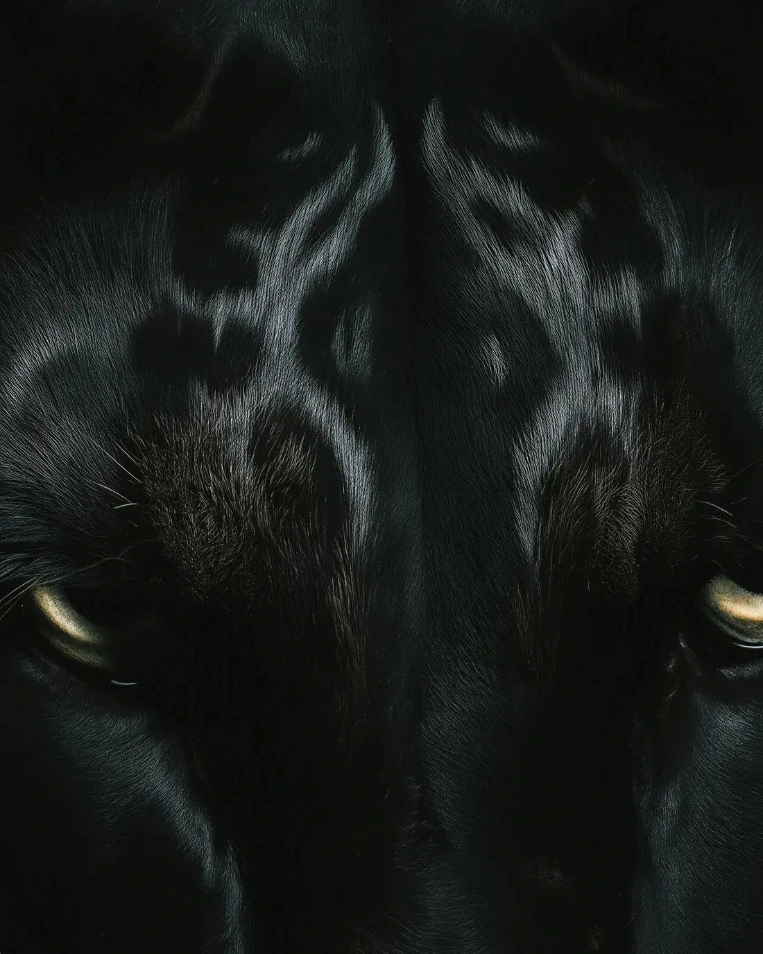 BLACK LORD