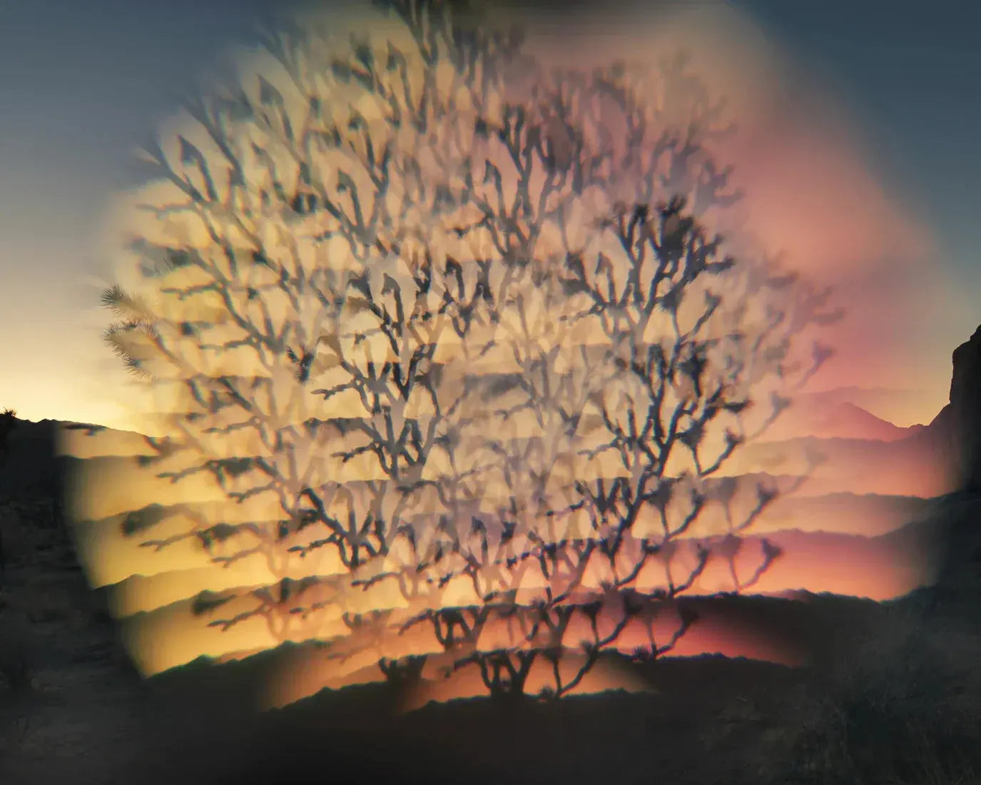 Desert Flash contemporary wall art print by Delaney Allen - sold by DROOL