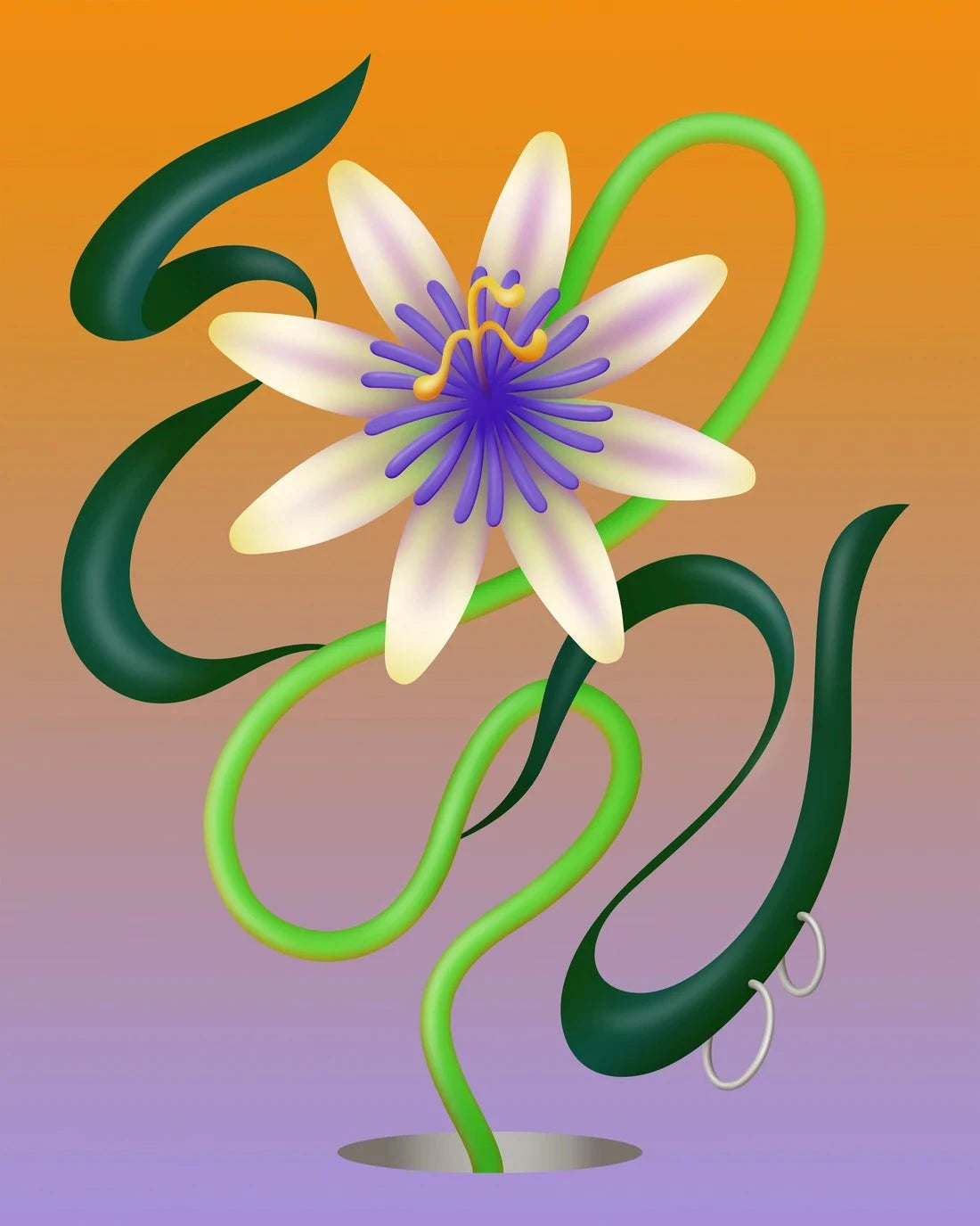 Passiflore contemporary wall art print by Milena Bucholz - sold by DROOL