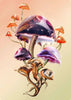 We Eat Rock So You Can Grow contemporary wall art print by Alex Valentina - sold by DROOL