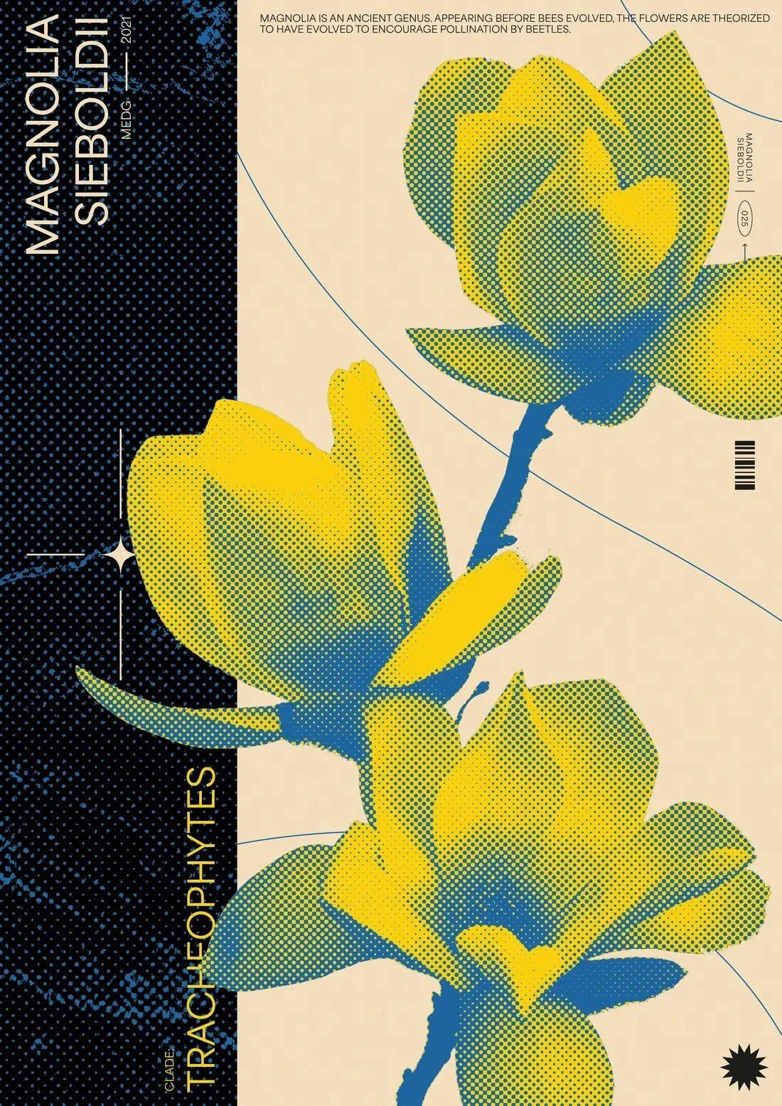 Magnolia contemporary wall art print by MEDG - sold by DROOL