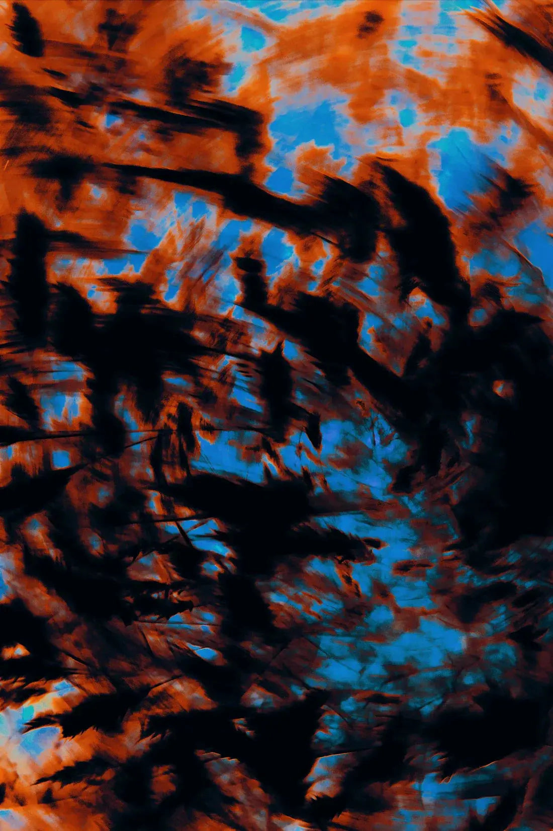 Microscope contemporary wall art print by Omar Belattar - sold by DROOL