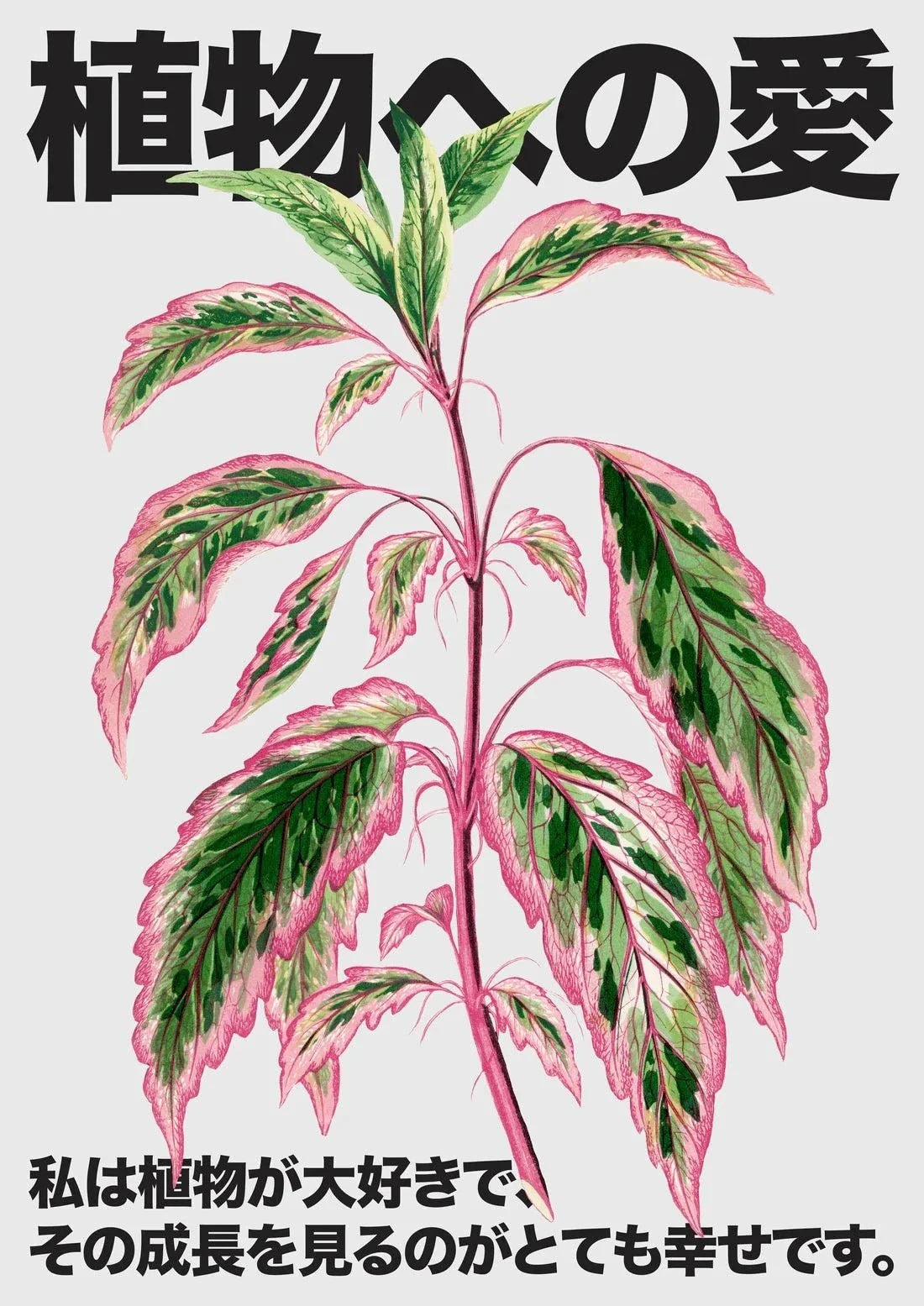 Plant Love contemporary wall art print by DROOL Collective - sold by DROOL