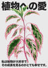 Plant Love contemporary wall art print by DROOL Collective - sold by DROOL