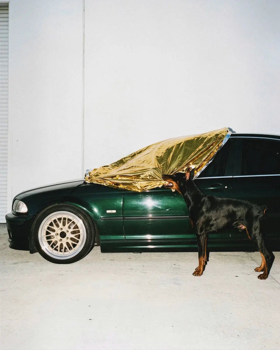 GARAGE DIARY.