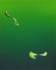 Monologue; Emerald contemporary wall art print by Peter-Maximilian Ronsdorf - sold by DROOL