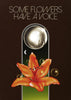 Some Flowers Have A Voice contemporary wall art print by Liorzh - sold by DROOL
