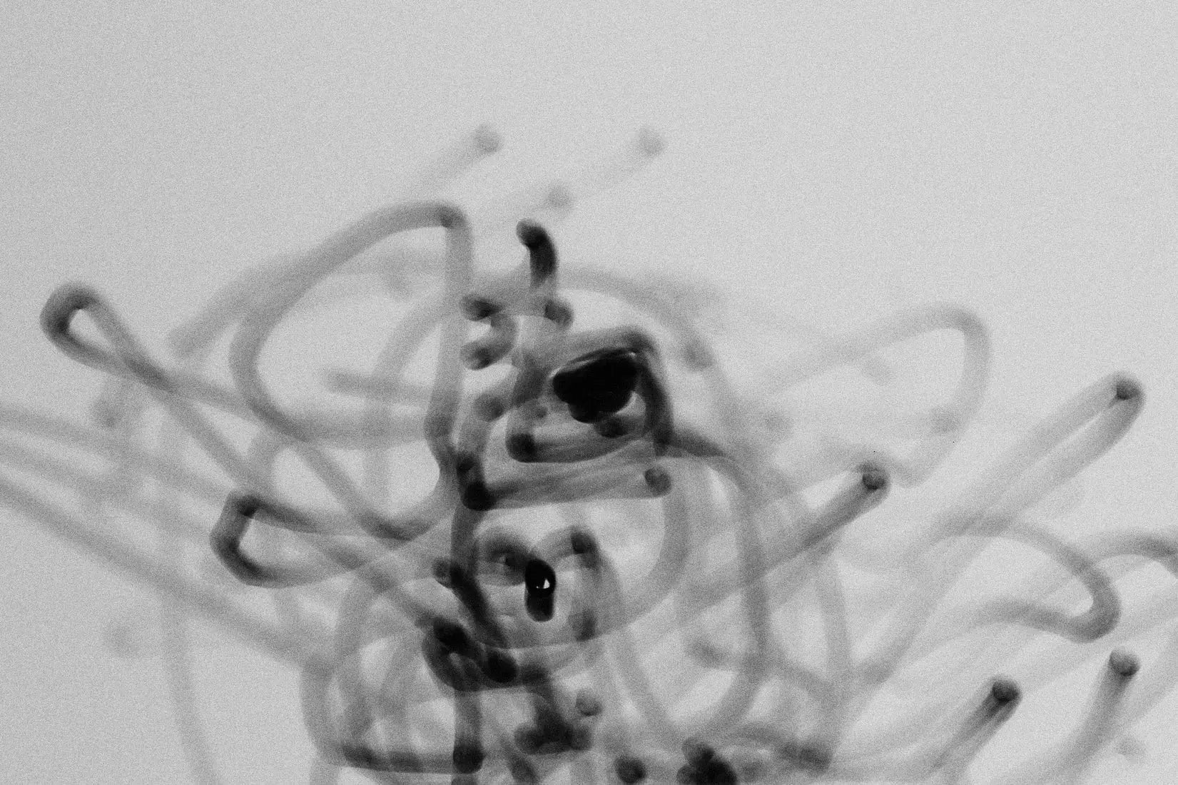 Squiggles contemporary wall art print by Omar Belattar - sold by DROOL