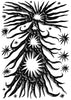 FOSSIL-COMET contemporary wall art print by Célestin Krier - sold by DROOL
